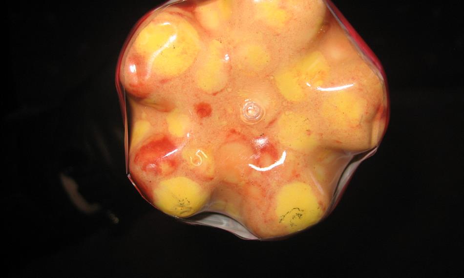 2014-2-24-1223plastová lahev 22.JPG